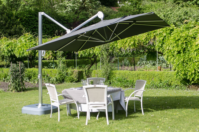 Le parasol Sunflower